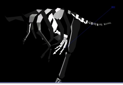 Skellingtonbones!
